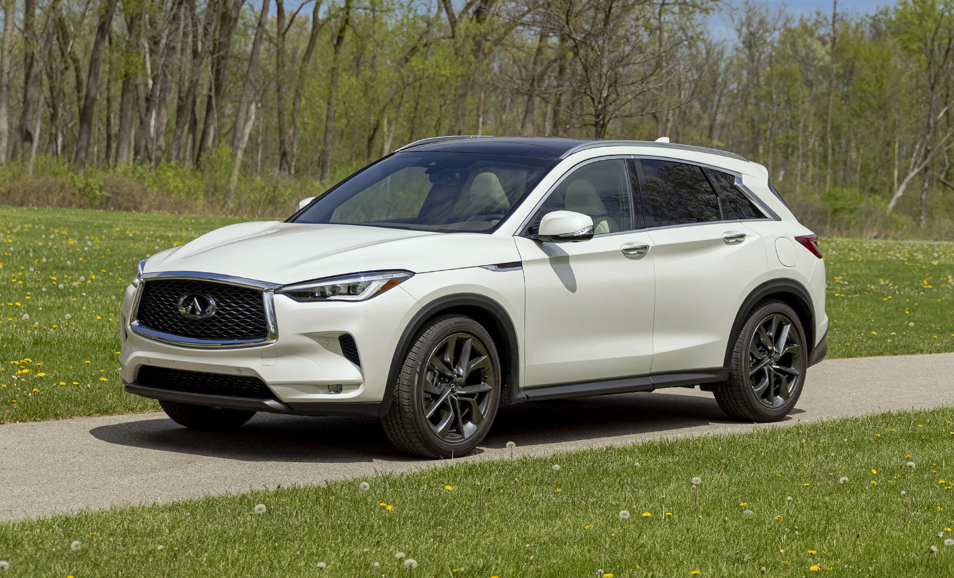 Infiniti QX50 2022