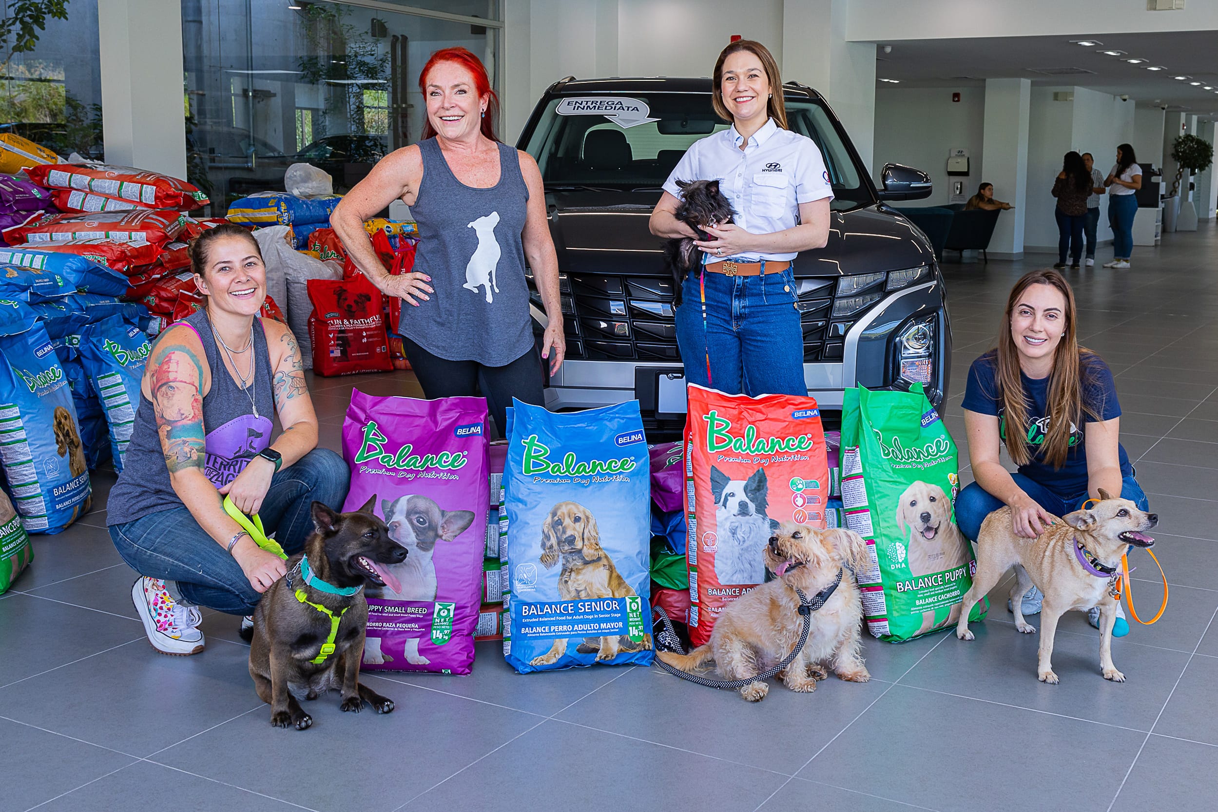 Zaguatón recauda 4.5 toneladas de comida para perros en apoyo a Territorio de Zaguates