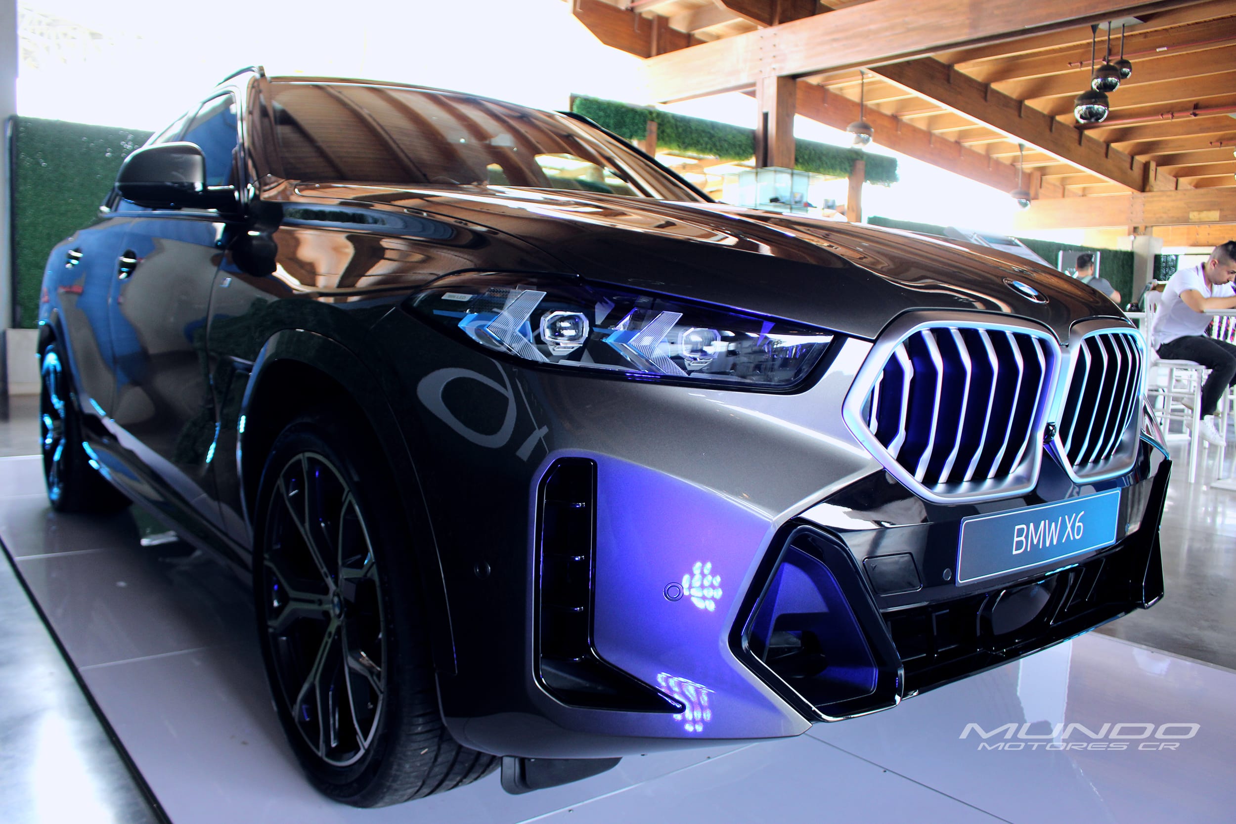 BMW X5 y X6