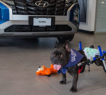 Hyundai brinda libertad y movilidad a Cooper en esta Navidad