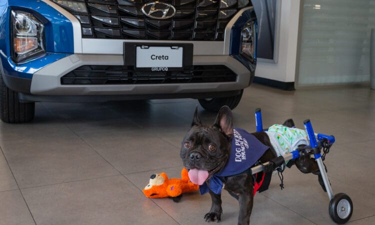 Hyundai brinda libertad y movilidad a Cooper en esta Navidad
