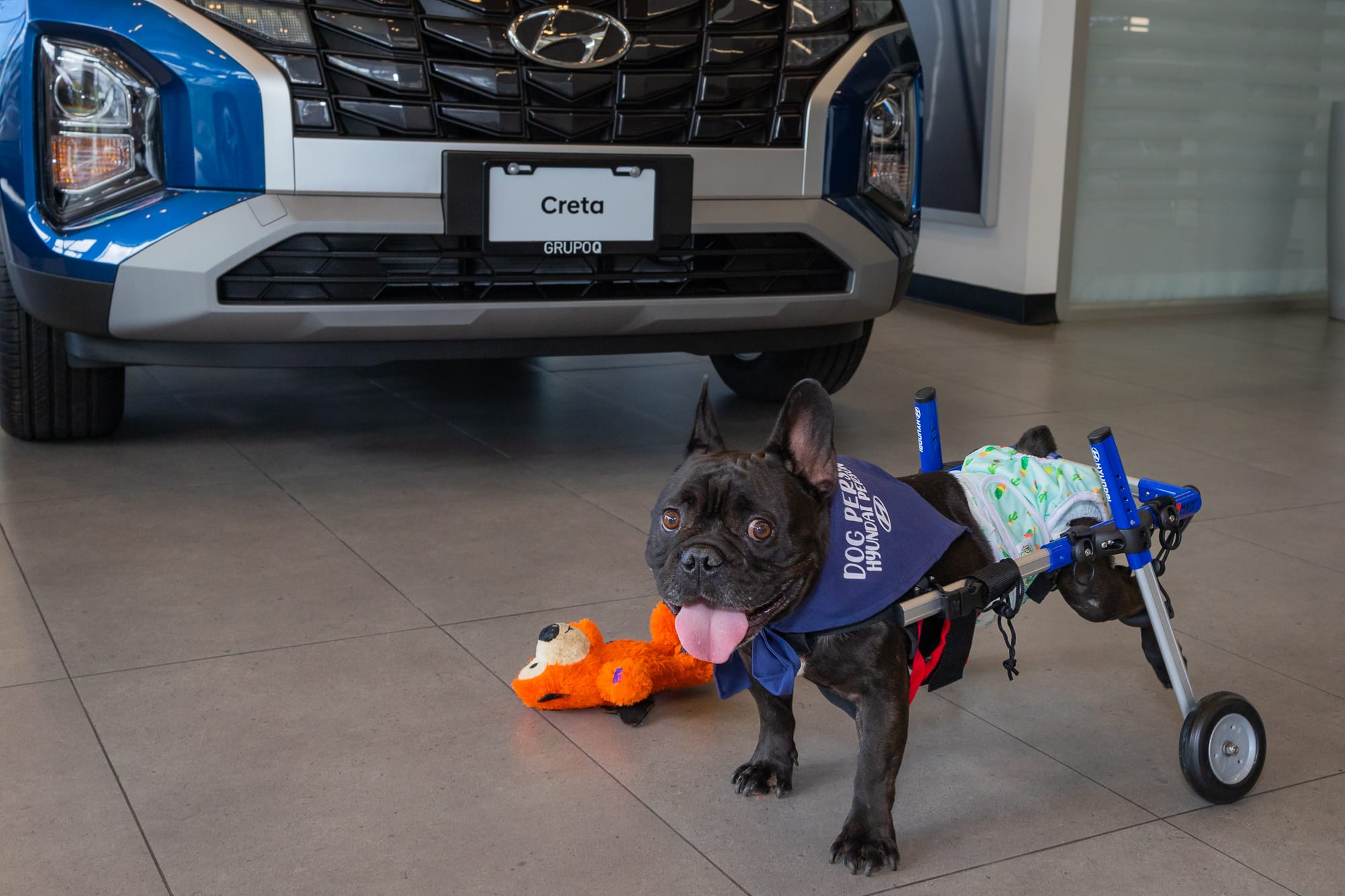 Hyundai brinda libertad y movilidad a Cooper en esta Navidad