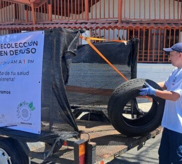 Éxito en la Llantatón 2024 de Bridgestone