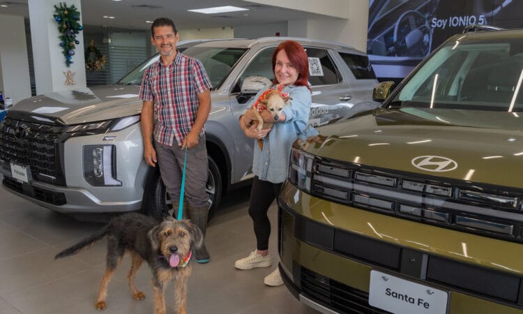 zaguatón navideño hyundai