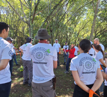 bridgestone celebra con reforestación el galardón de bandera azul ecológica