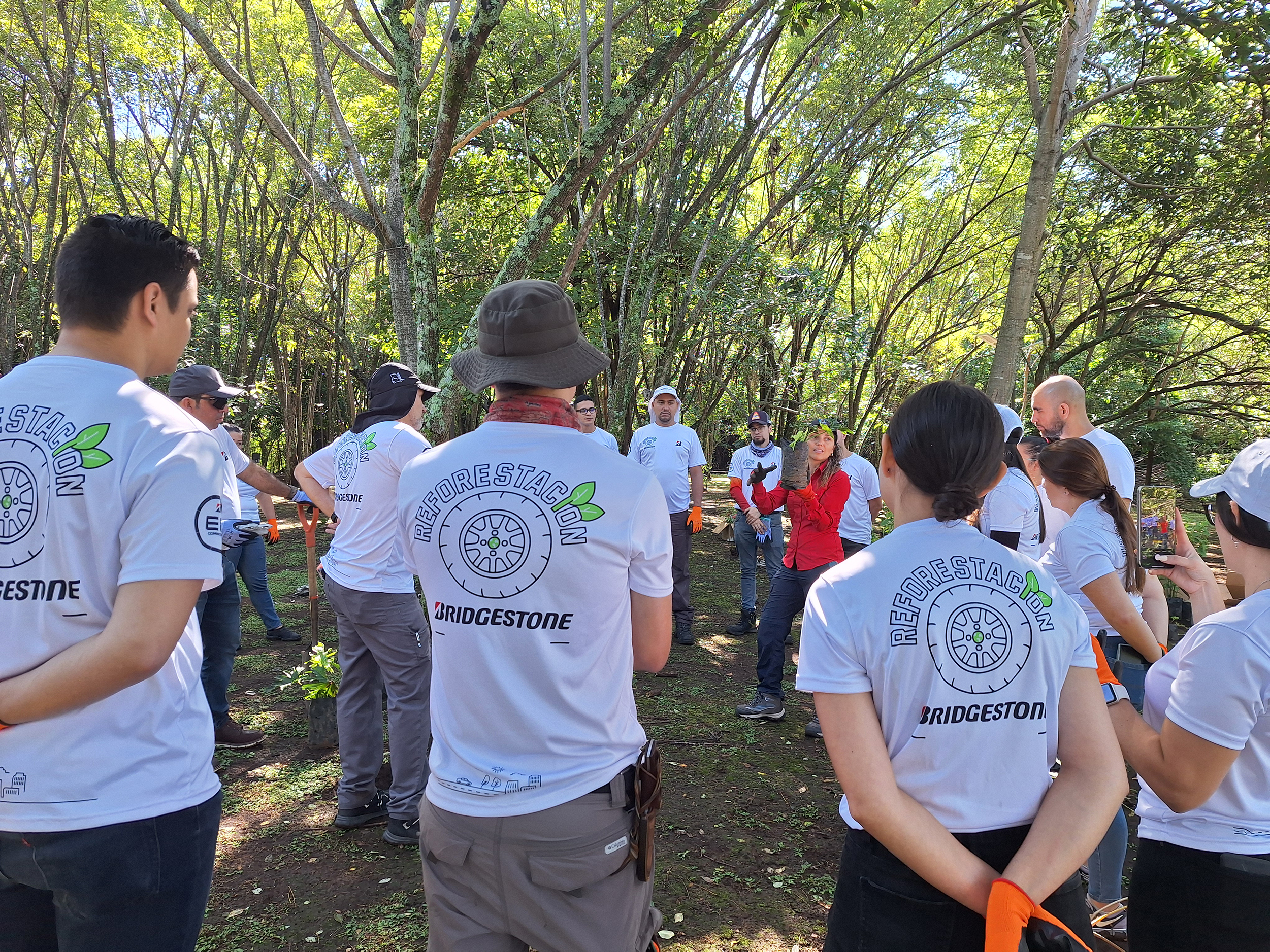 bridgestone celebra con reforestación el galardón de bandera azul ecológica