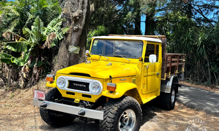 Land Cruiser HJ45